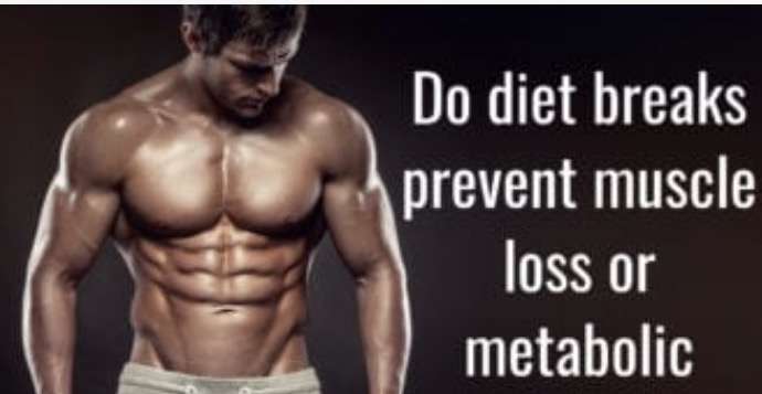 Do diet breaks help preserve muscle mass and your metabolism?